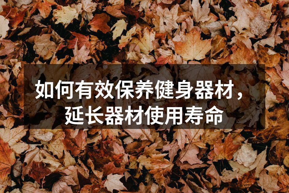 如何有效保养健身器材，延长器材使用寿命
